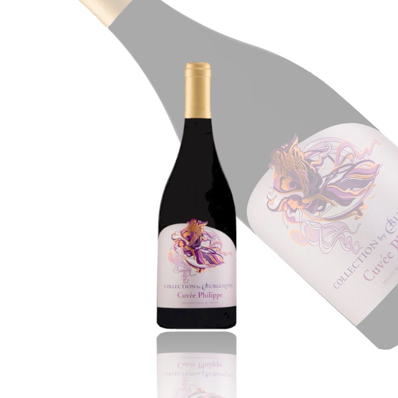 ブルゴゾーネ・コレクション キュヴェ－フィリップ 2020年(赤) / Burgozone Collection Cuvee Philippe 2020